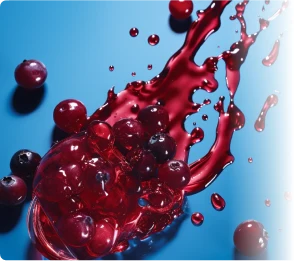 Cranberry Icon