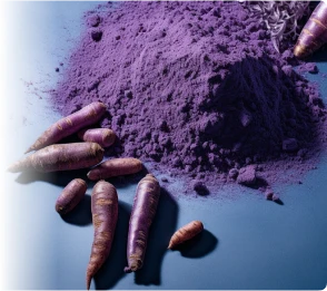 Purple Carrot Icon