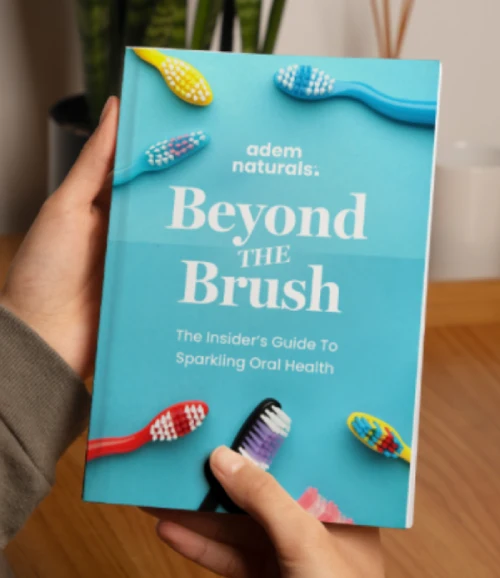 E-book Cover for Beyond The Brush